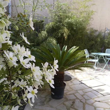 Des Dames 40m2,jardin Fleuri Sainte-Savine