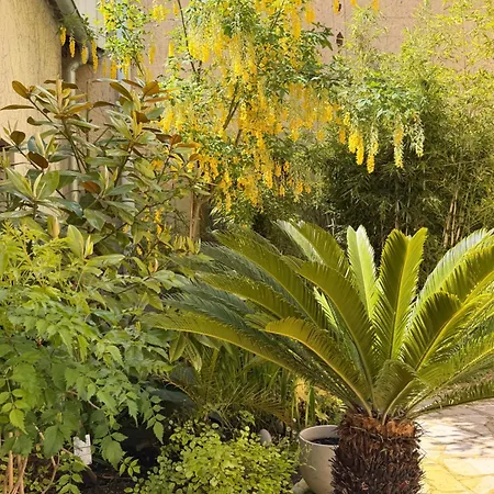 Apartamento Des Dames 40m2,jardin Fleuri *